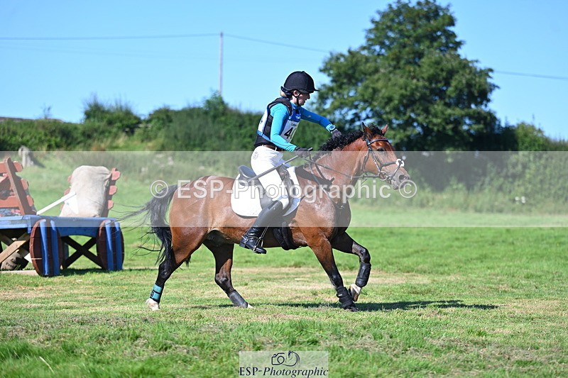 240811A-164005-07024 - 404-