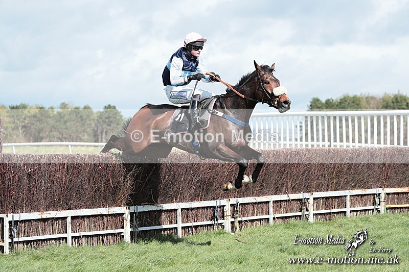 PtP 230324 284 - Tedworth Hunt PtP Larkhill Raccourse 23rd March 2024