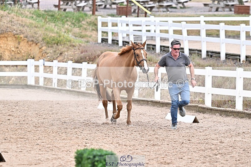 250716-164000-00730 - Trot Up 4.30 to 5.00