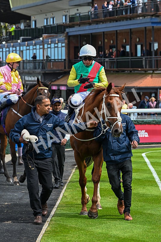 120526-Race 1-Lovers Leap-7223 - Race 1 2.30pm Clearanswer Call Centres Maiden Fillies' Stakes