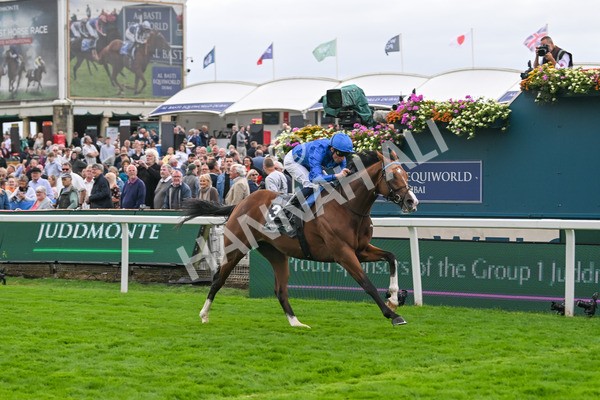 200825-Race 4-Ombudsman-1645 - Race 4 3.35pm Juddmonte International Stakes