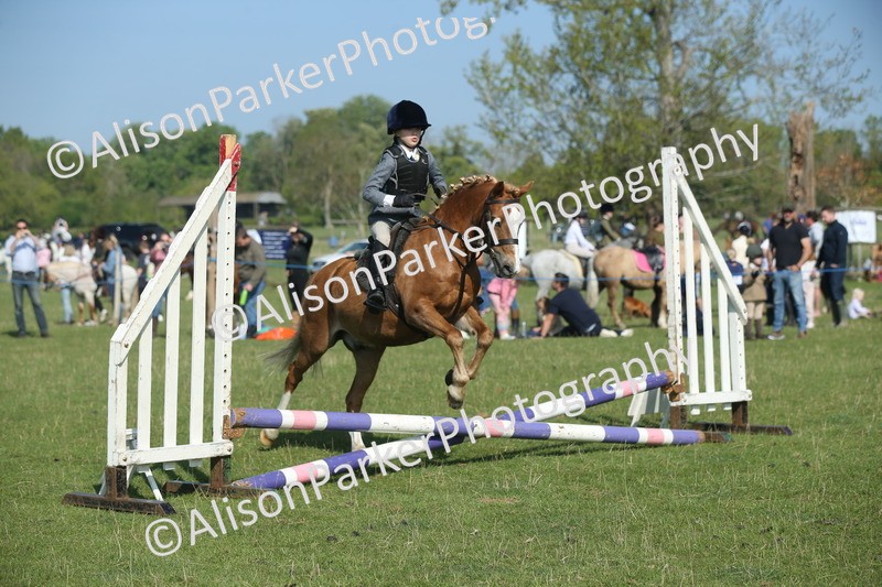 20250427-0939 - Class 1 - Mini Jumping Lead Rein or Assisted