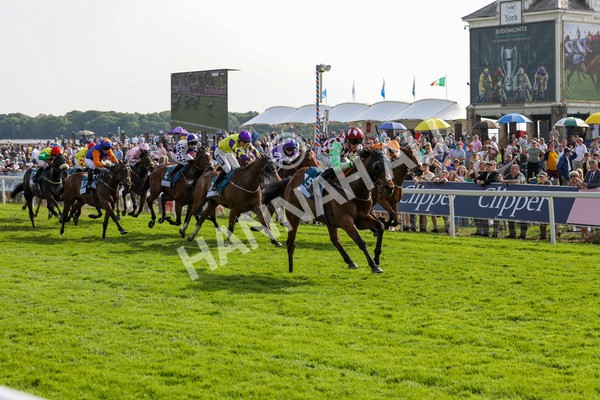 170524-Race 6-Riot-2288 - Race 6 4.45pm Yorkshire Equine Practice Handicap