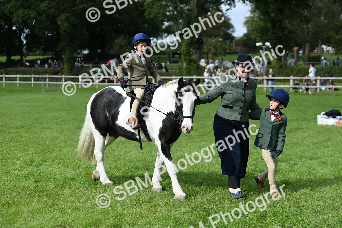 SBM_47012 - S12 - Family Horse & Pony