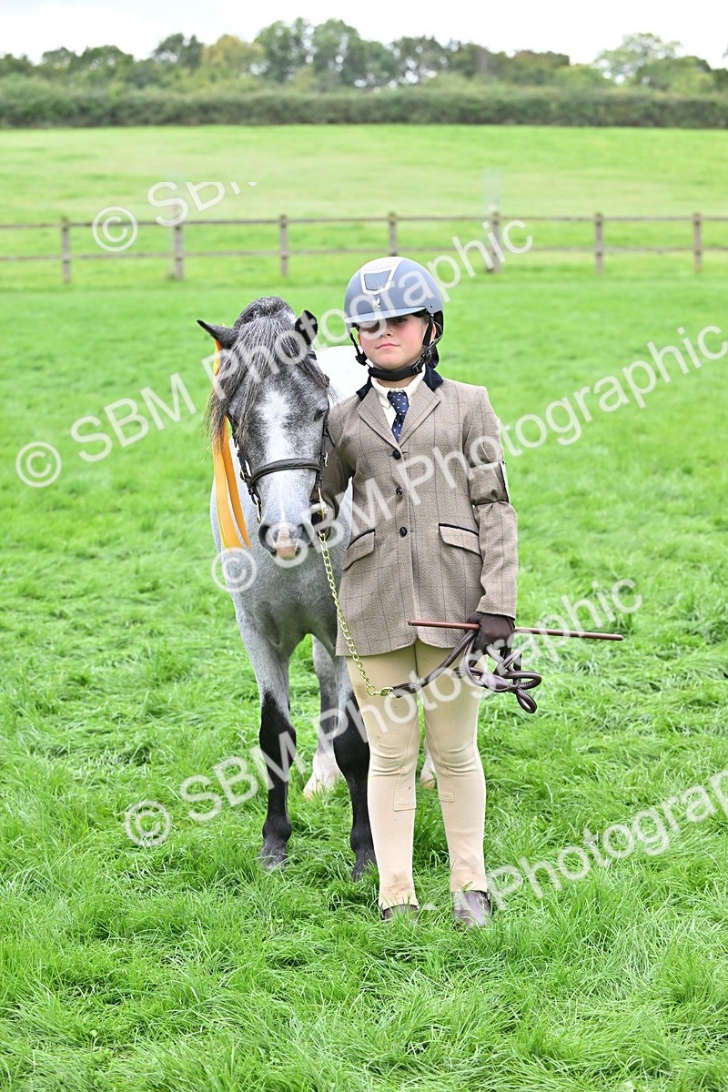SBM_61060 - S48 - Mountain & Moorland In Hand Small Breeds