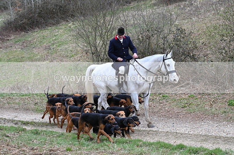 WJ7_7332 - Walk Home