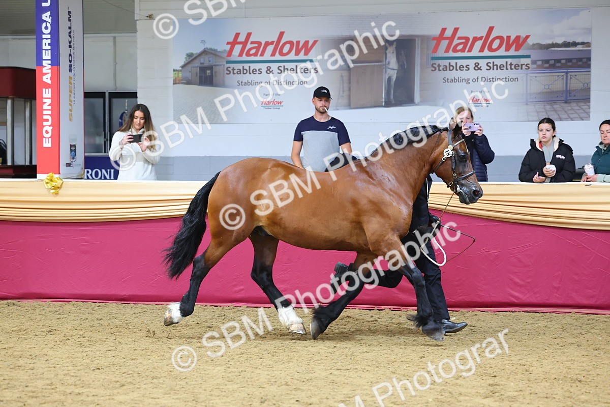 SBM_23208 - Supreme Final - IH Champion