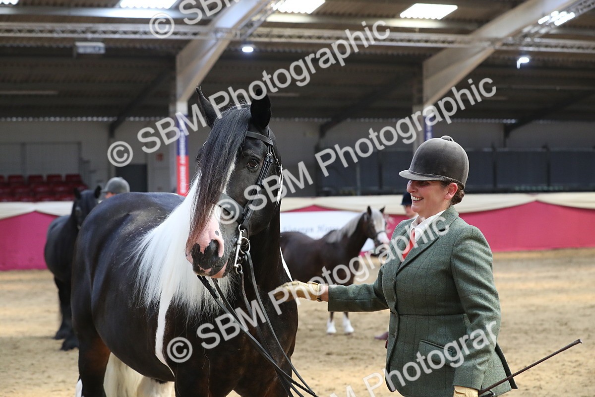 SBM_06561 - Regional IH Champ