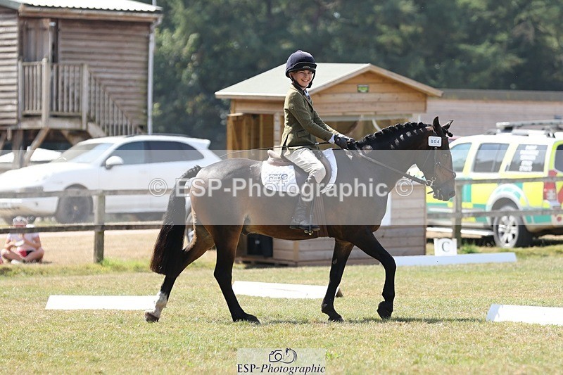 250823A-123533-29836 - Arena C