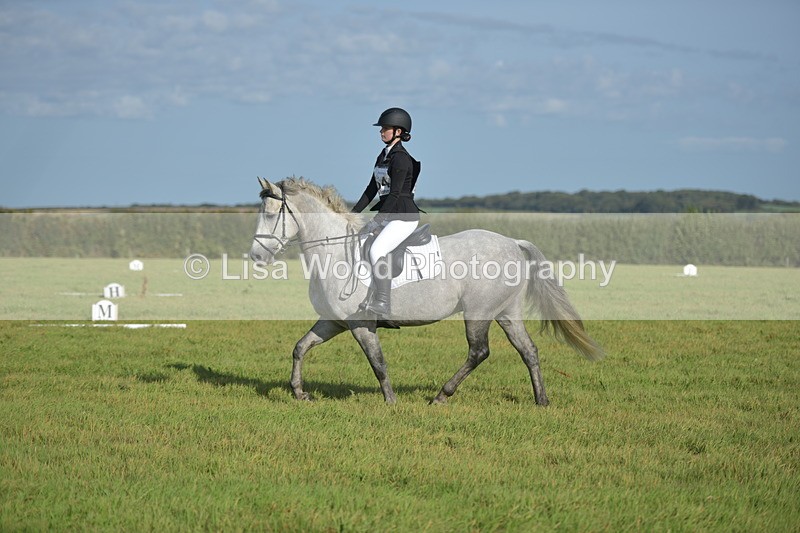 RAY_7361 - Class 2B: Trekenning Open: Dressage