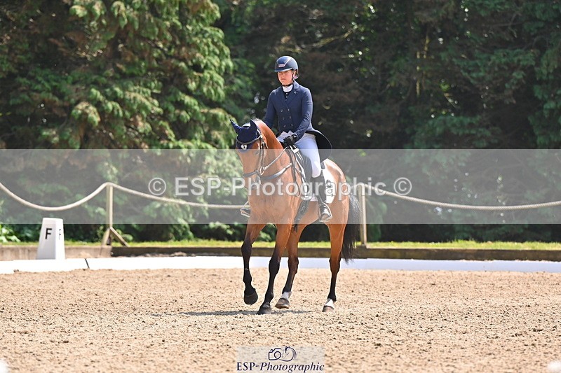 250523A-142034-07300 - B-362-Kat.Raybould-THE.ELLFIELD.DIKSTER