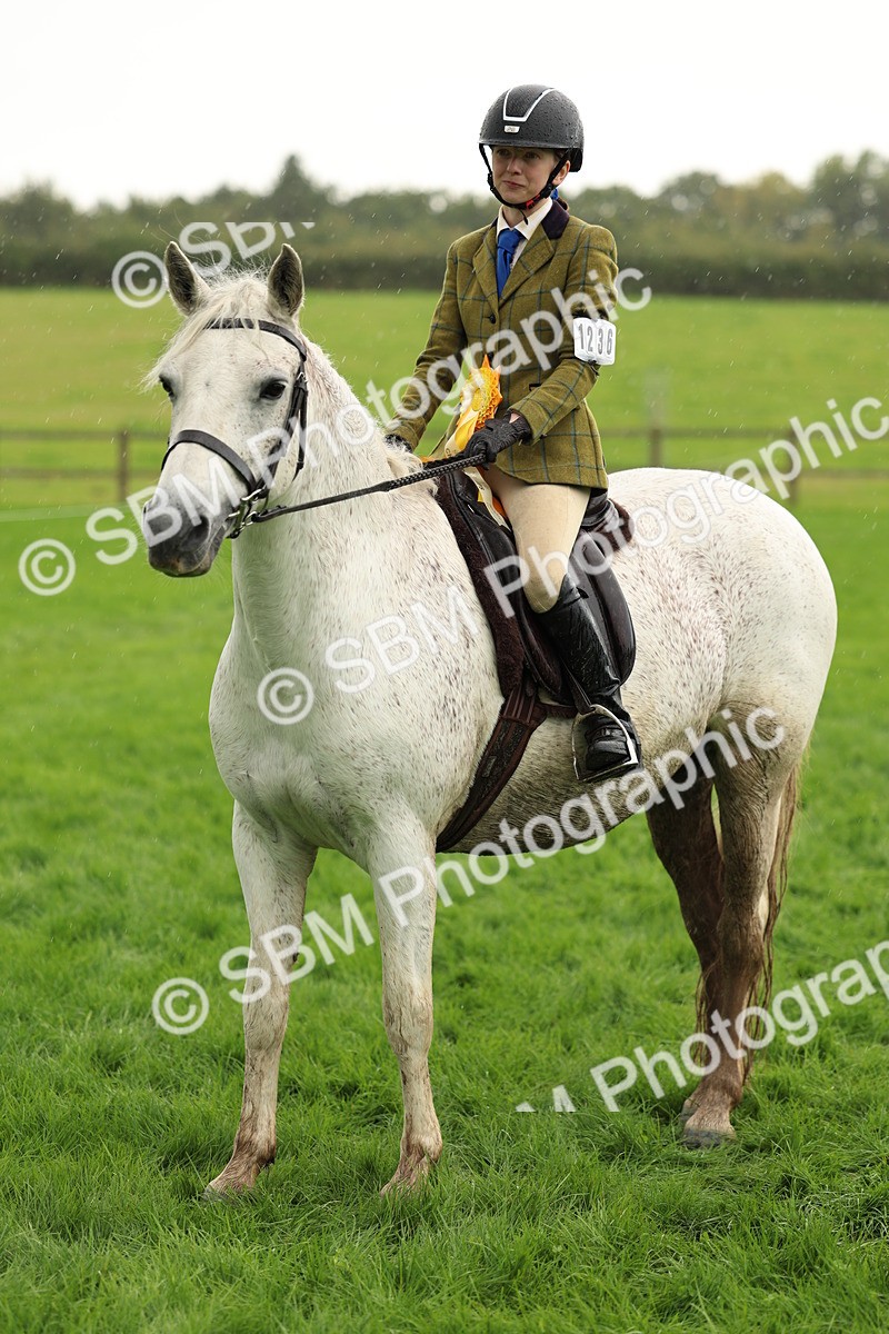1I0A1526 - S32 - Mountain & Moorland Working Hunter Pony