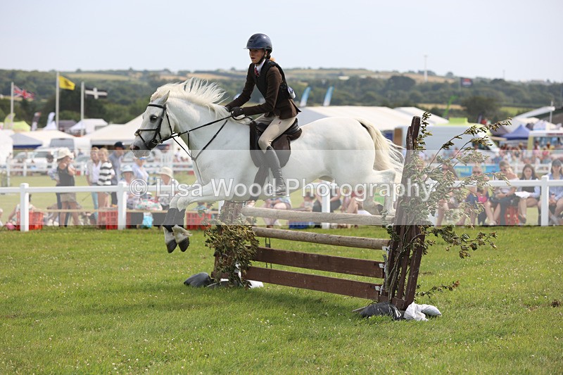 JPP_4018 - Class 24: Working Hunter 90cm