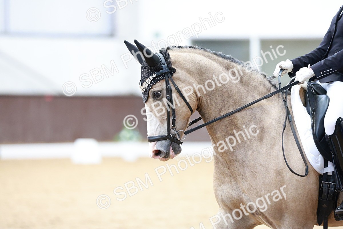 SBM_017341 - Class15 - FEI Pony