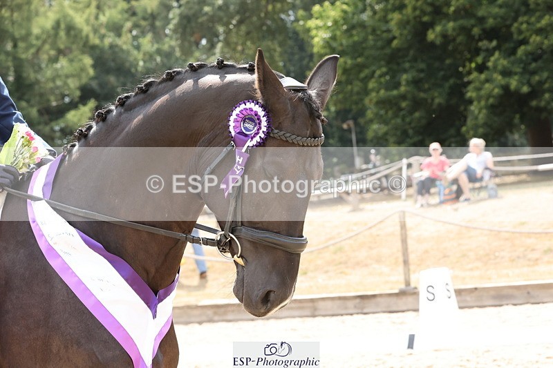 250809A-155416-04662 - Elementary SILVER Presentations