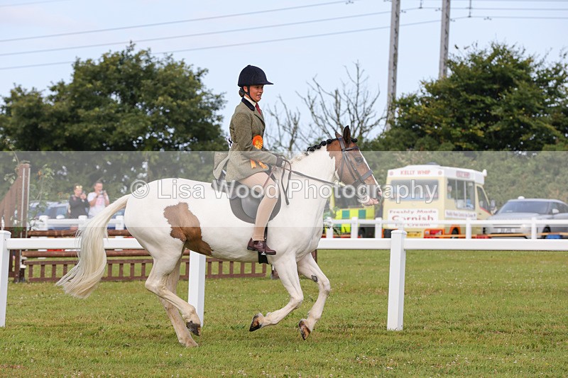 1X9A3102 - Class 26: Ridden Plaited Coloured Pony