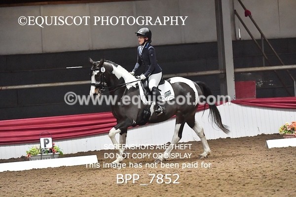 BPP_7852 - ELEM TEST 6