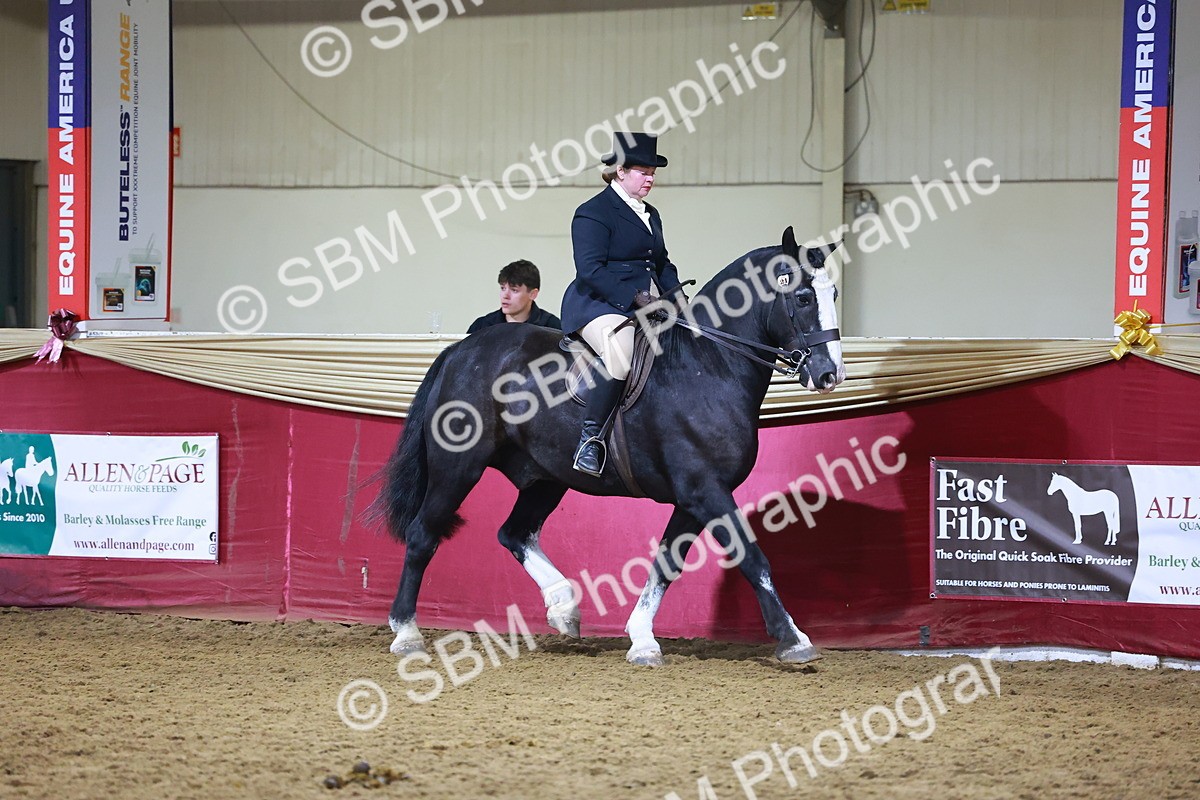 SBM_15659 - Class T - Working Veteran Champ
