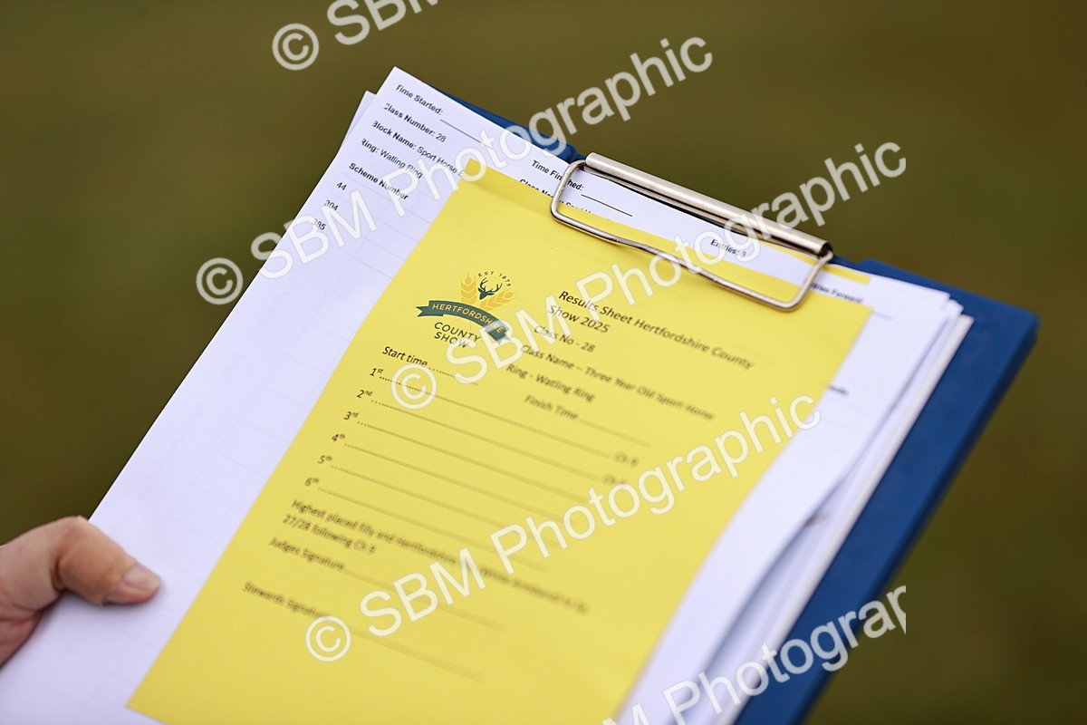 SBM_00736 - Class 26-30 Sport Horse In Hand
