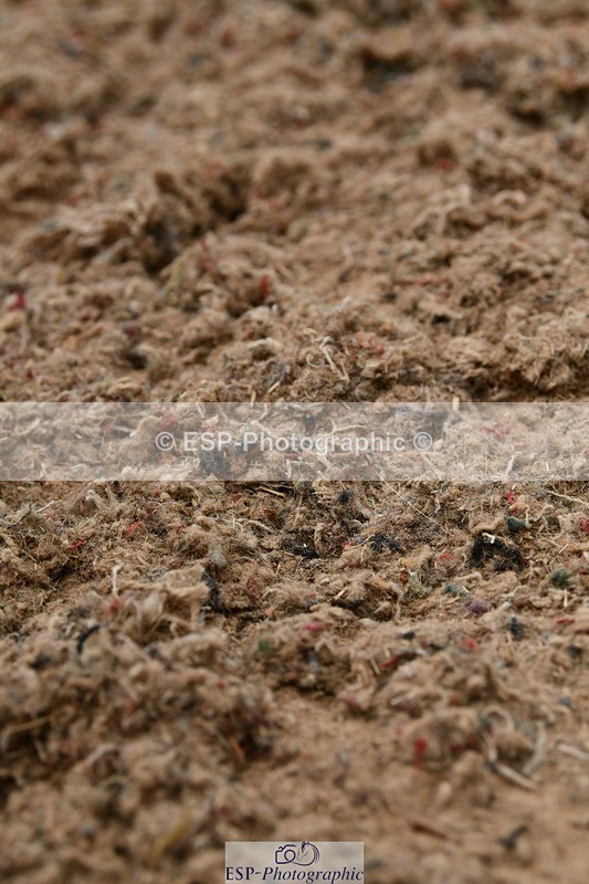 250705-151338-05254 - E1 Section BDE1 14.46 to 15.42