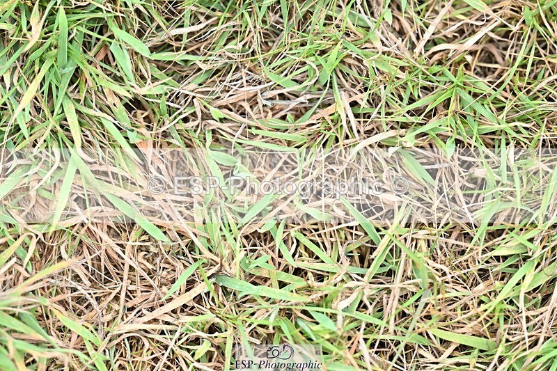 250820A-100105-02435 - Start to 11am