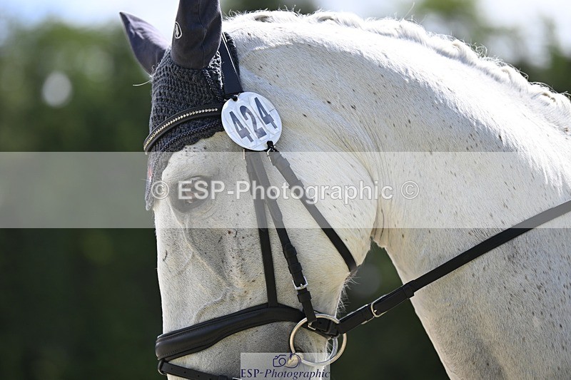 000101-192046-03932 - 424-ACSI_CHAMP_DE_TAILLEUR-Janneke_Boonzaaijer