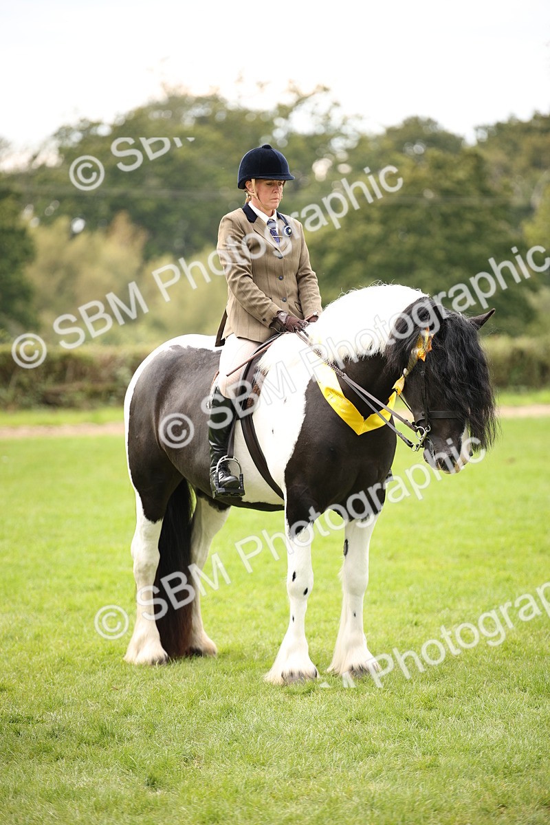 SBM_73647 - Ridden Horse Supreme Championship