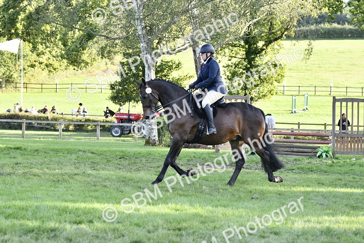 SBM_53509 - S14 - Riding Club Horse