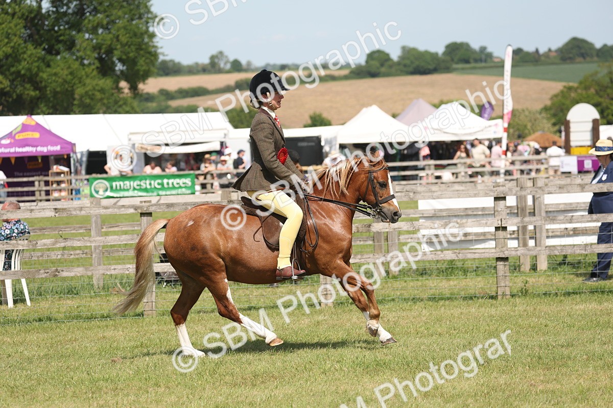 SBM_07678 - Class 26-30 - Mountain and Moorland Ridden