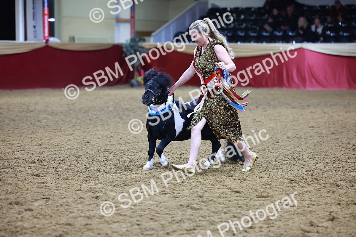 SBM_15339 - Class P - M&M Champ