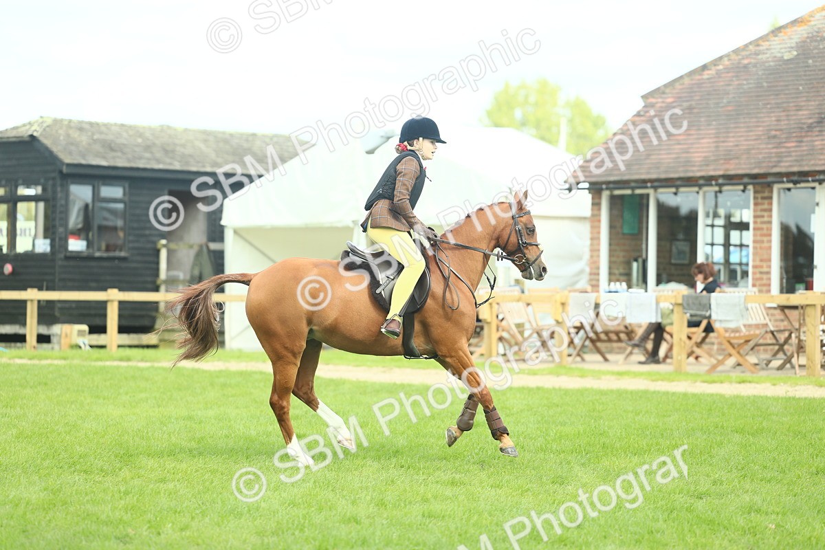 SBM_44636 - S31 - Working Hunter Pony