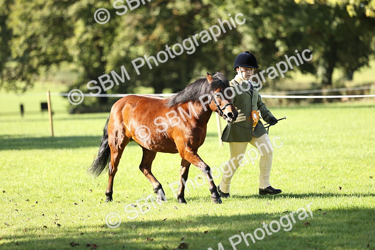 SBM_15943 - S1 - TSR in Hand Horse & Pony Showing