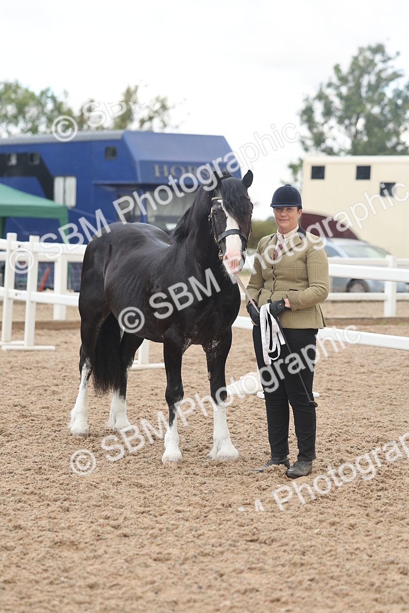 SBM_03283 - Class 16 - IH M&M Wildcard