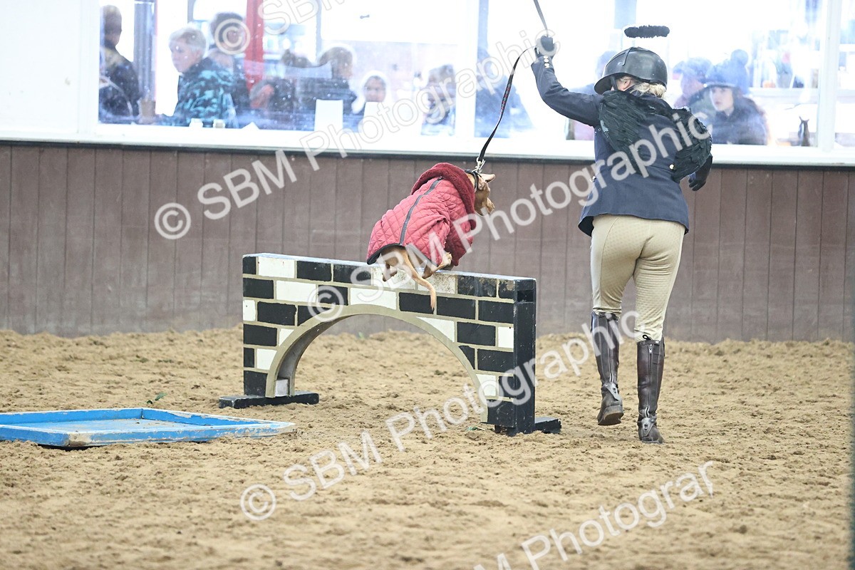 SBM_001480 - Class 3 - Horse & Hound 60cm