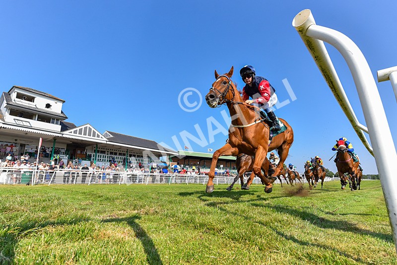150726-Race 6-Our Absent Friends-3249 - Race 6 16.40pm Racing Again 22nd July Handicap