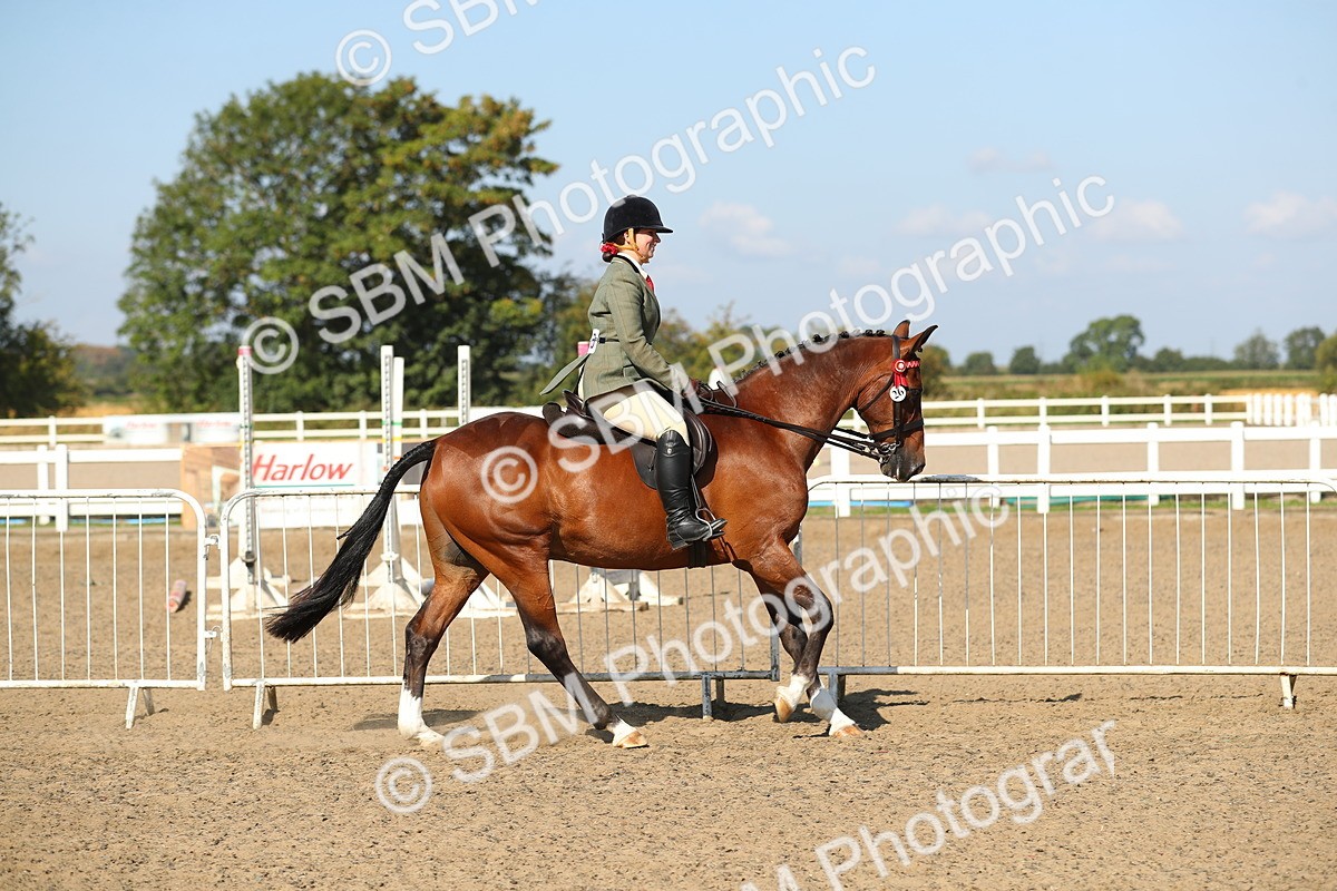 SBM_02213 - Class 43 Ridden Competition Horse/Pony