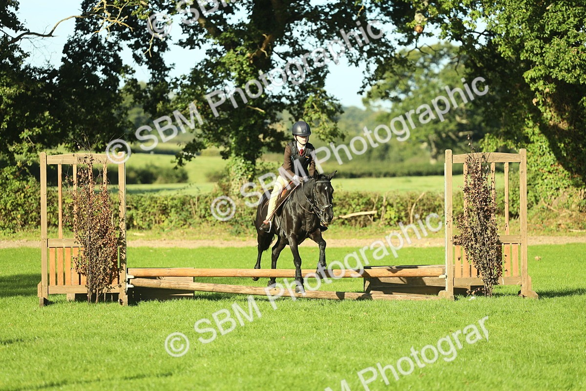 SBM_36318 - S29 - Novice & Newcomers Working Hunter Pony