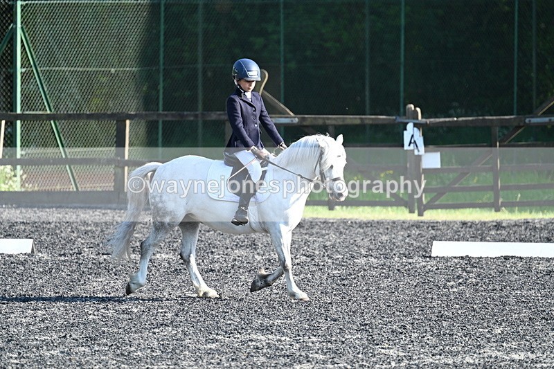 WJ7_4321 - Class 1 intro