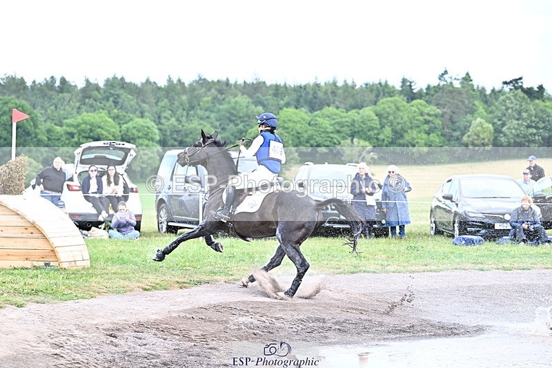 250525A-121810-15983 - D-409-Kirsty.Chabert-HERALDIKS.GIRL.OPPOSITION