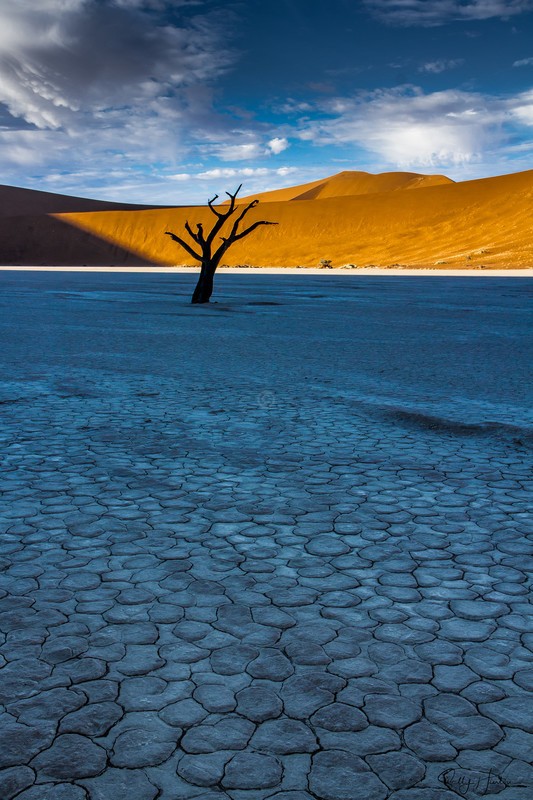 Deadvlei 4 - Landscapes
