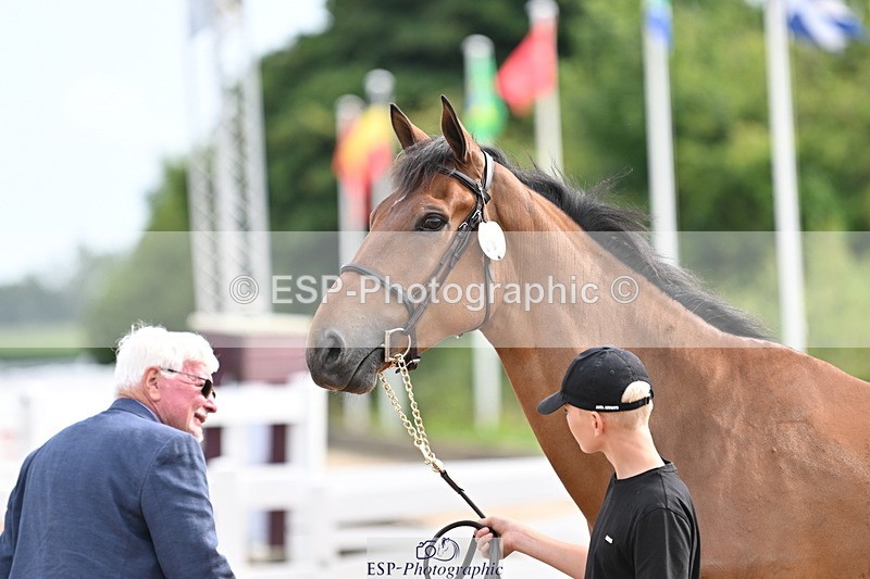 240717A-165710-03561 - Trot Up 4pm to 5pm