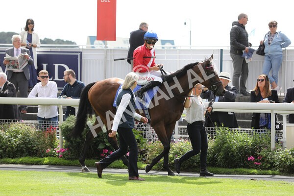 yr20082022r3-2 - Race 3 3.00pm Sky Bet City of York Stakes