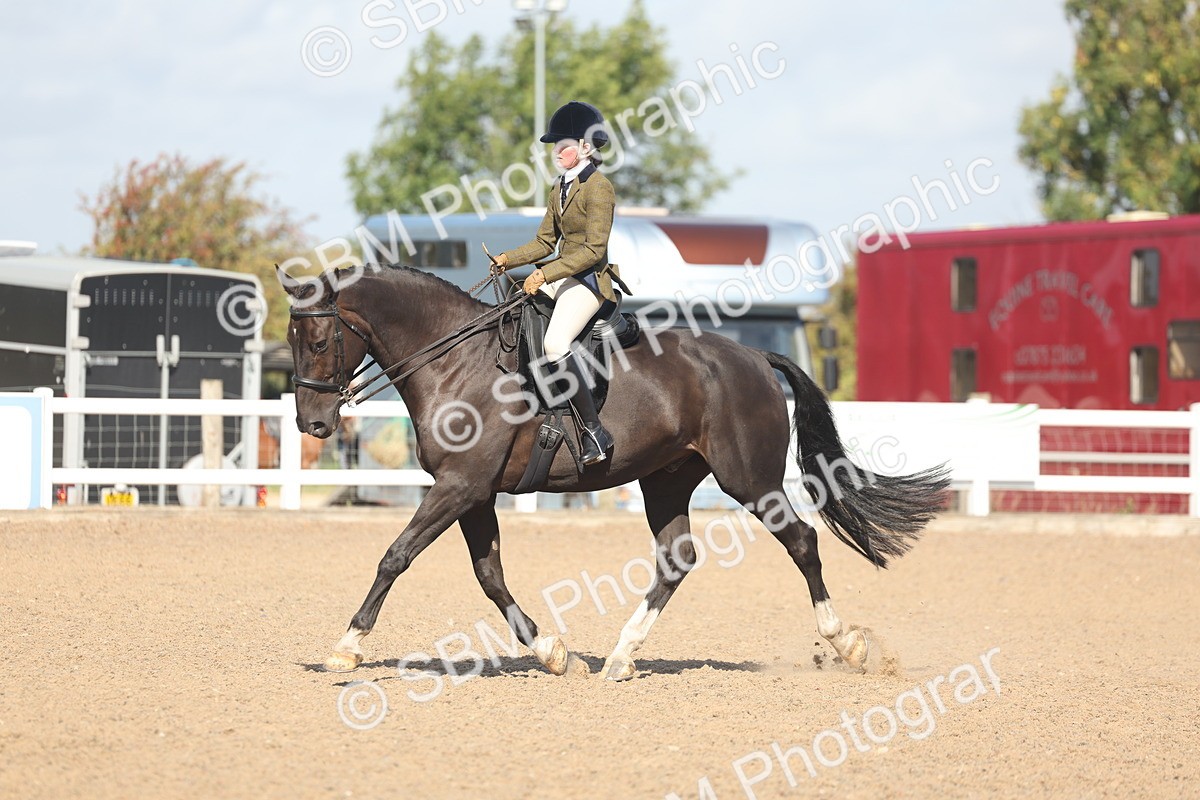 SBM_22666 - Class 805 - Ridden Veteran Horse