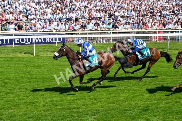 120725-Race 3-Fox Legacy-5701 - Race 3 3.10pm John Smith's Cup Handicap