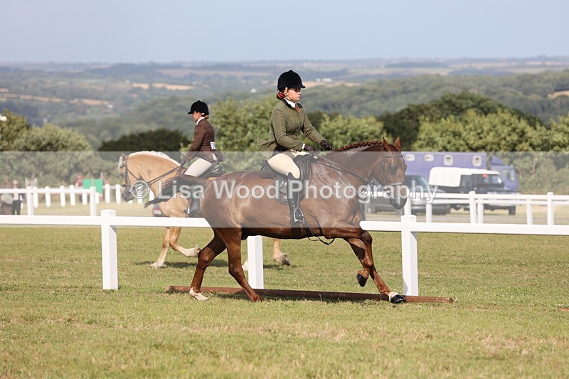 JPP_2935 - Class 20: Working Hunter 70cm