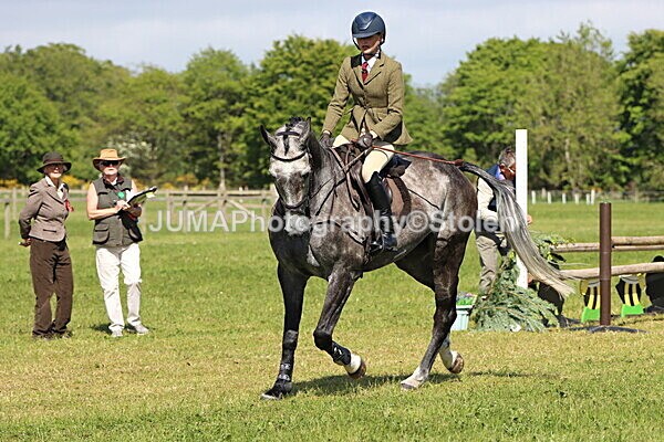 IMG_4662 - Working Hunter
