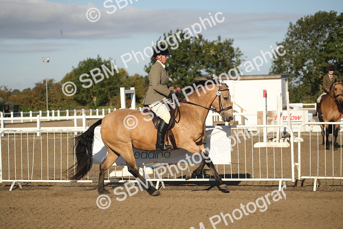 SBM_11535 - Class 502 - Riding Club Horse