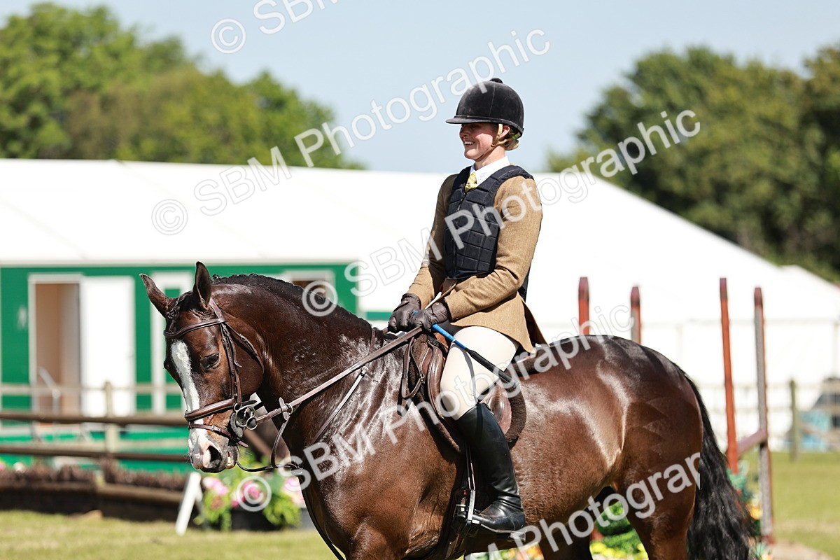 SBM_18389 - Class 112-113 - BSPS LIHS Working Sports Pony