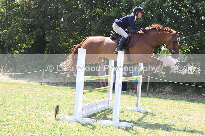 3E7A3366 - Class 10: Senior Foxhunter/1.20 open