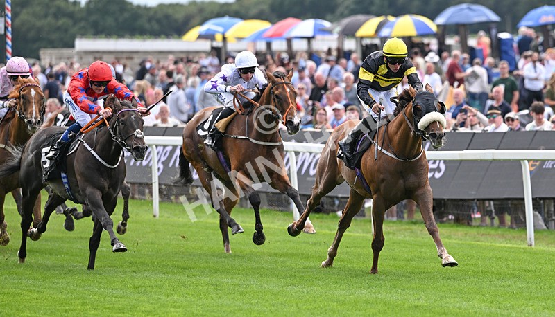 190826-005 Air Force One - Race 1 13.50pm Hong Kong Jockey Club World Pool Handicap
